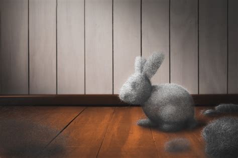 Dust bunnies cleaning. Things To Know About Dust bunnies cleaning. 